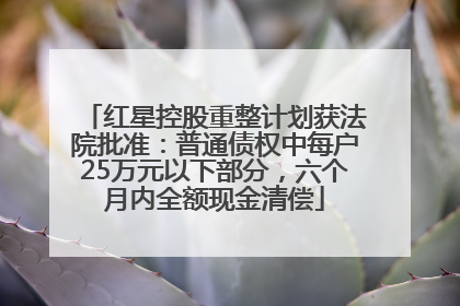 红星控股重整计划获法院批准：普通债权中每户25万元以下部分，六个月内全额现金清偿